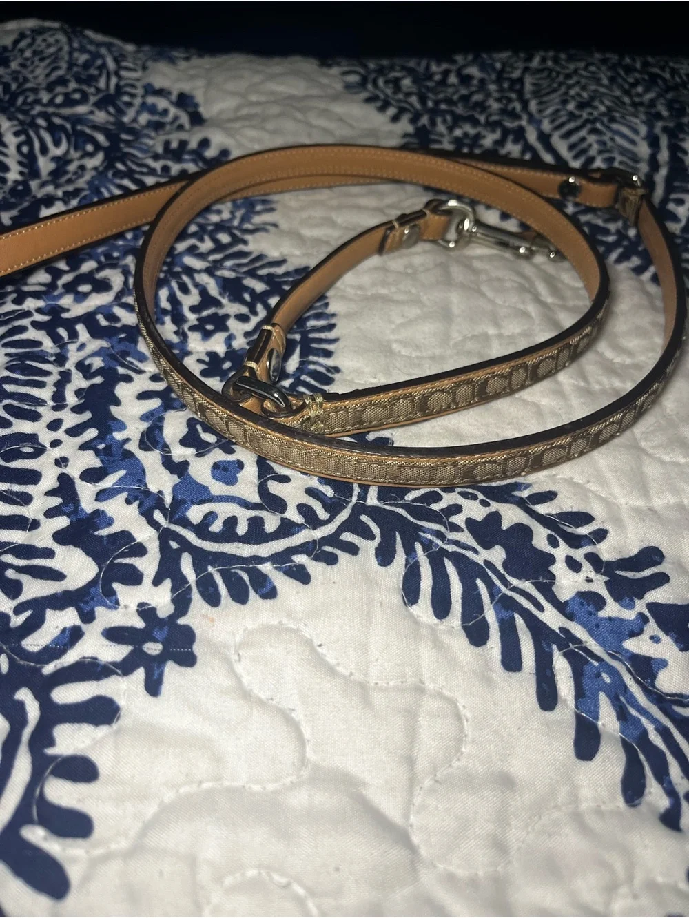 Coach premium leash
